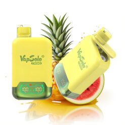 Vapsolo Twins 20000 Ananász Kókusz & Görögdinnye Jég 40 ml Típus-C